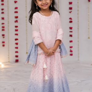 shaded chikankari lehenga set with pearls