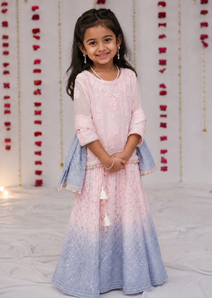 shaded chikankari lehenga set with pearls