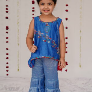 Girls royal chikankari bird embroidered sharara set