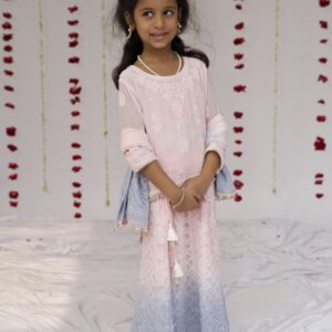 Girls shaded chikankari lehenga set with pearls