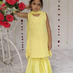 full embroidered chikan kurta sharara set