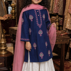 Home gulnaar chanderi chikankari sharara set