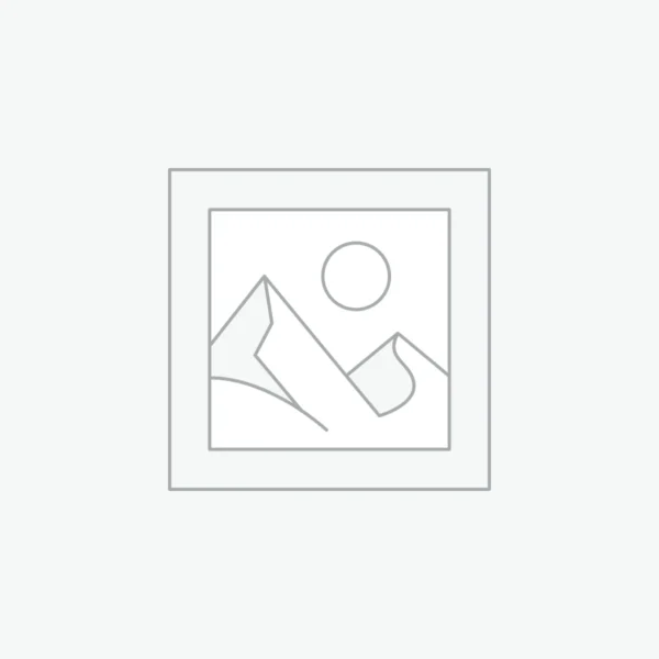 Multicoloured tissue sharara set Awaiting product image